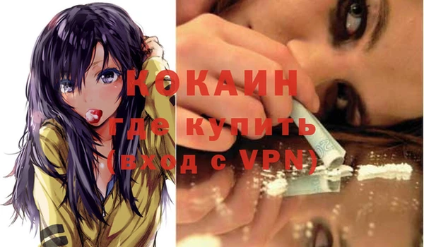мдпв Бронницы
