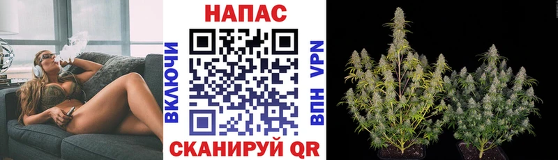 МАРИХУАНА Bruce Banner Нижневартовск
